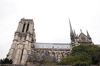 从野人到小丑，各式个性十足的“访客”们将来到《双点博物馆》！